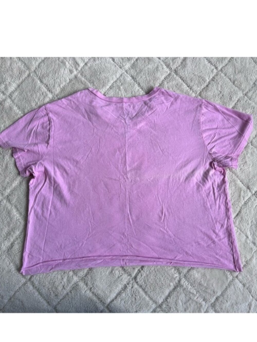 Cinnamoroll | Cropped Strawberry Kawaii Graphic T-Shirt | Size Large - Picture 6 of 10